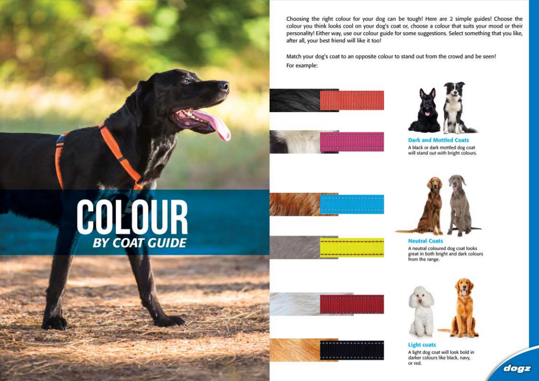 Choosing the Best Color for your Pet coat or your Mood