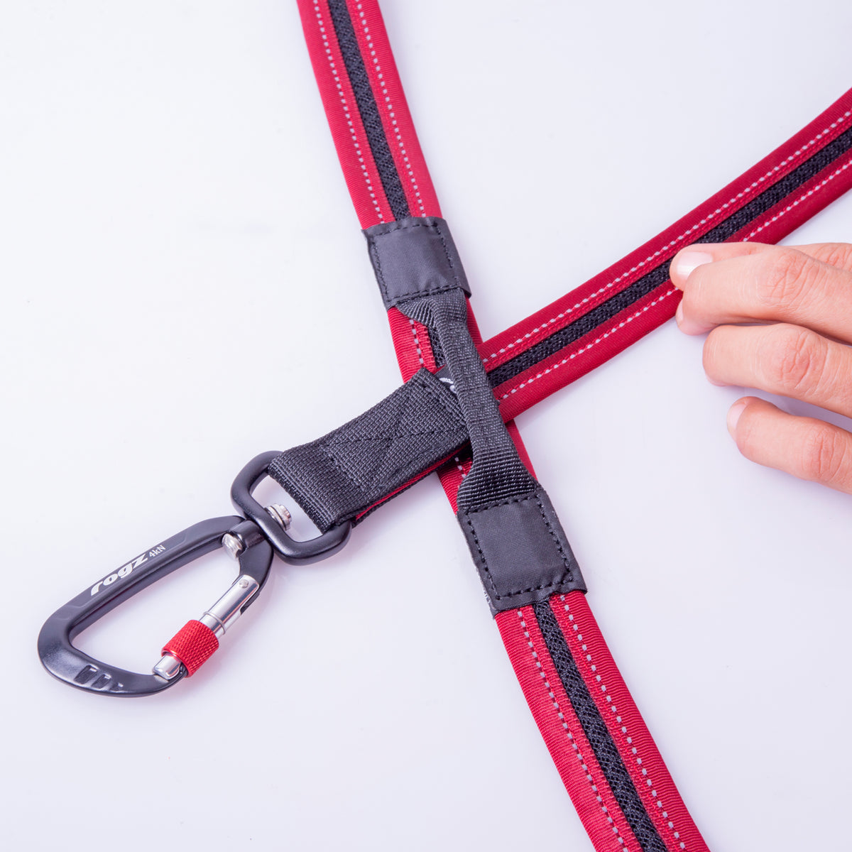 AirTech Dog Multi Lead