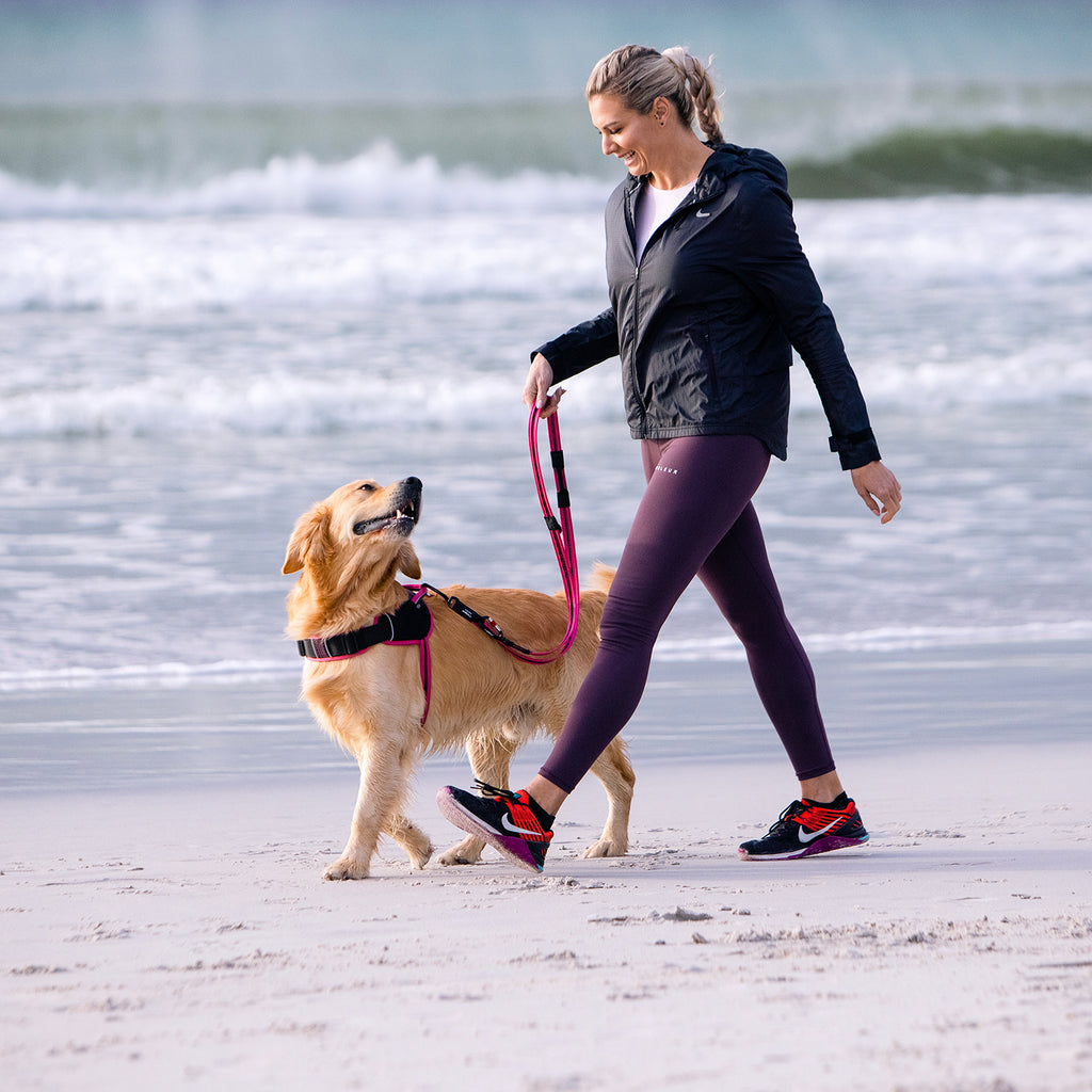 AirTech Dog Multi Lead