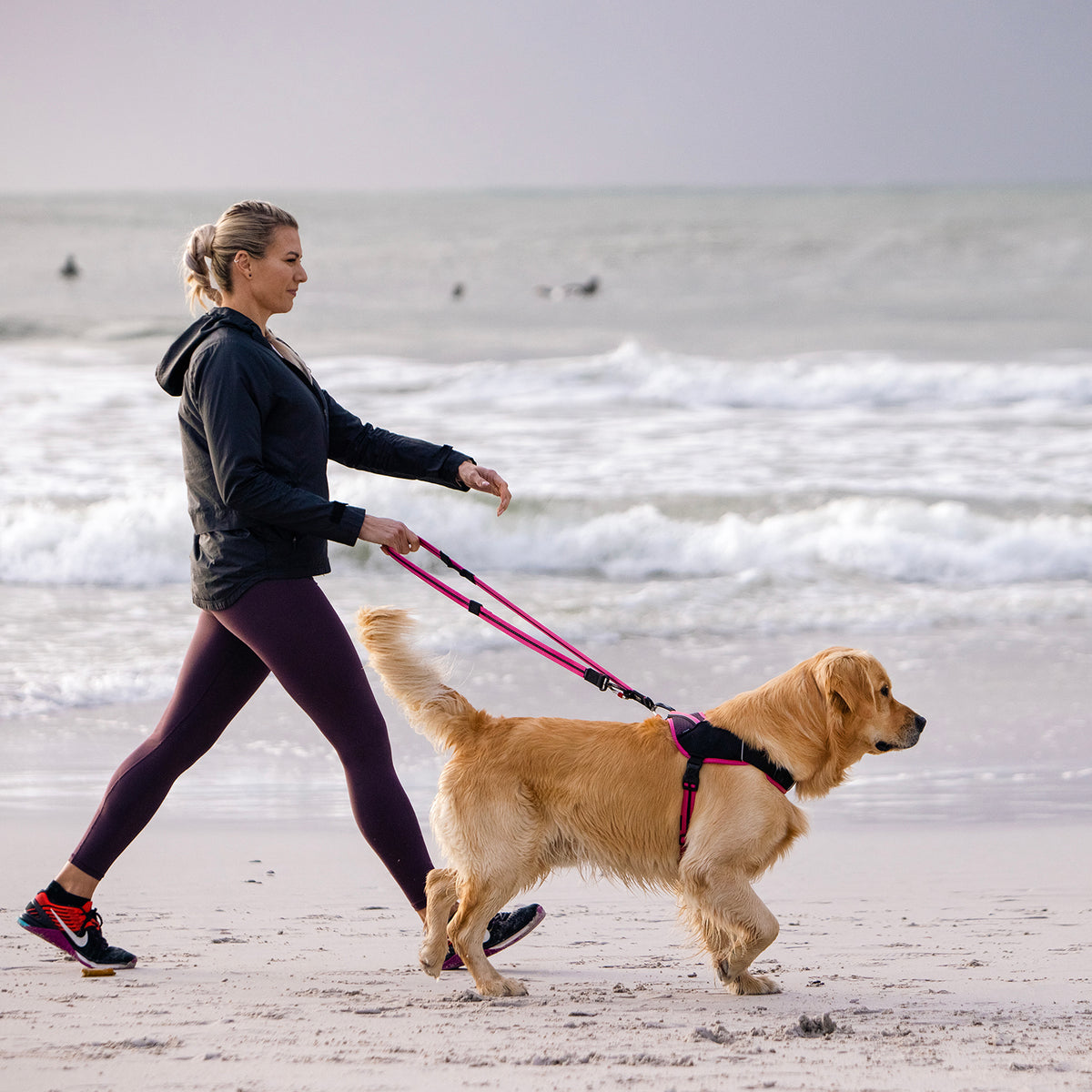 AirTech Dog Multi Lead
