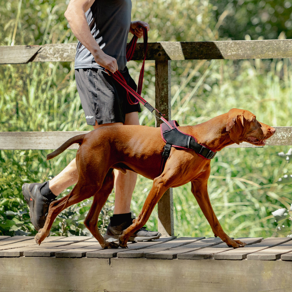 AirTech Ultra Lite Dog Leash