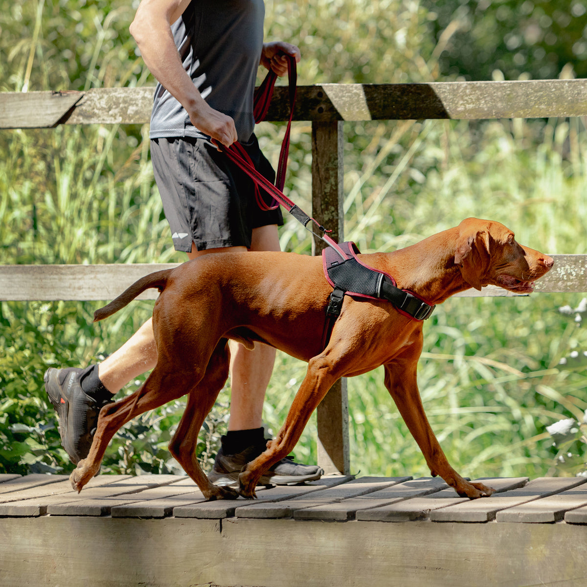 AirTech Ultra Lite Dog Leash