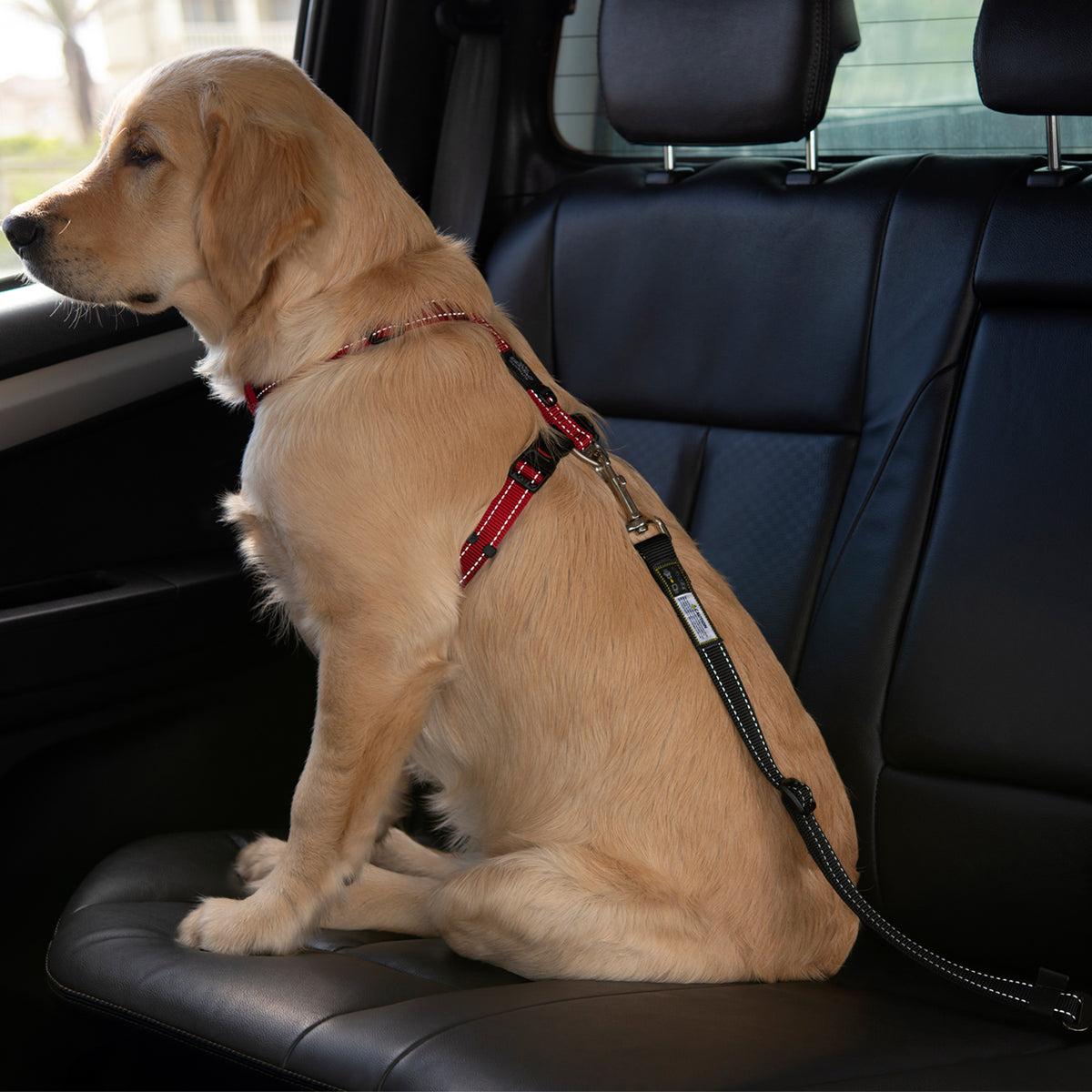 Rogz Dog Car Seat Belt Clip