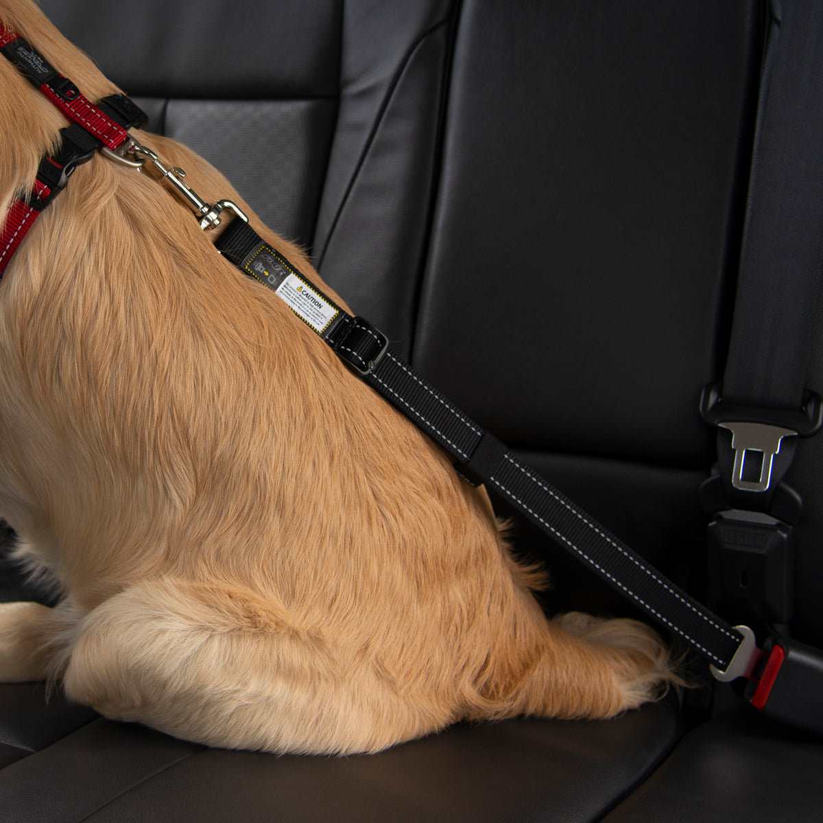 Rogz Dog Car Seat Belt Clip