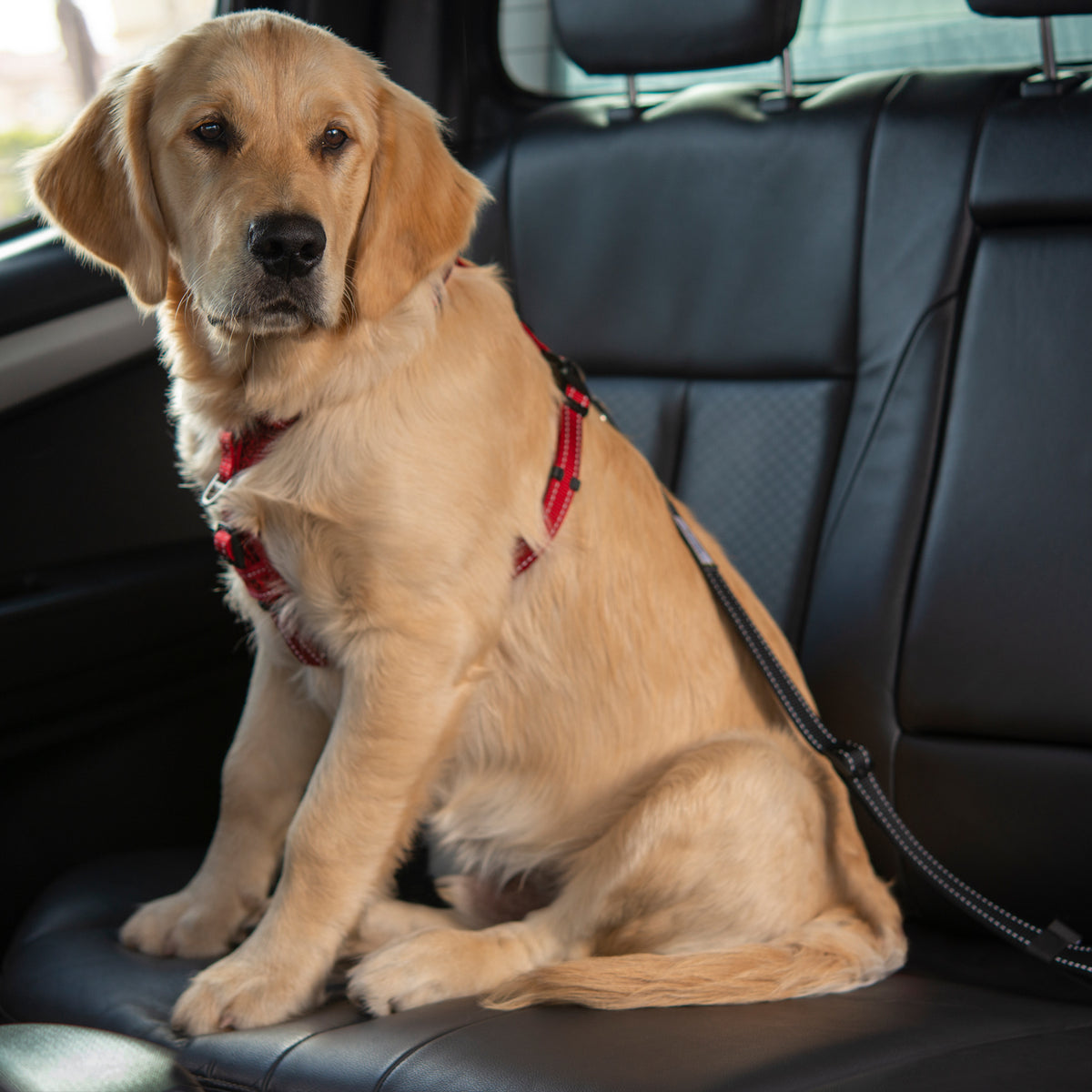 Rogz Dog Car Seat Belt Clip