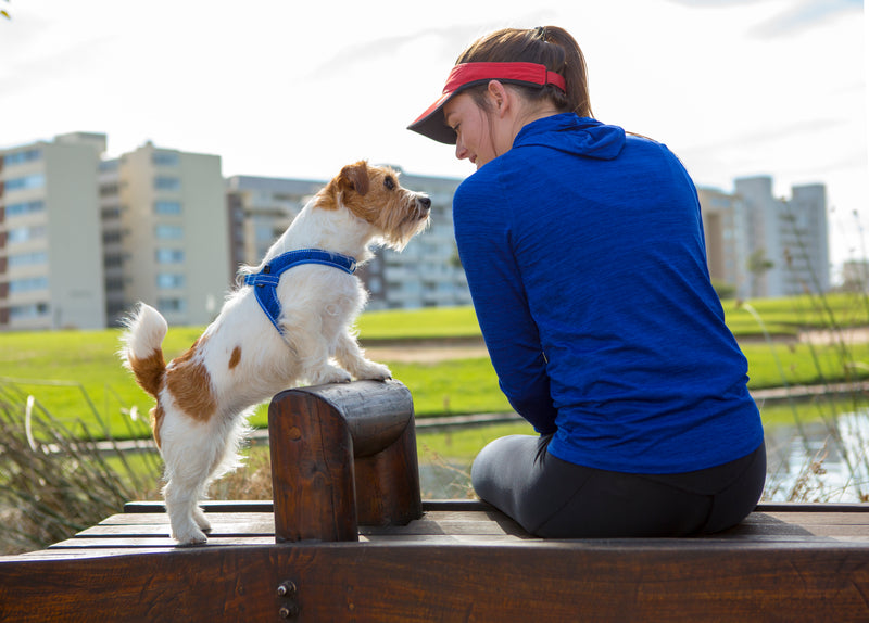 Rogz Fast Fit Harness