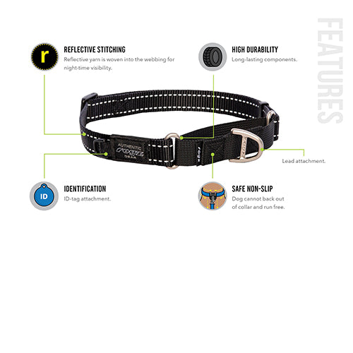 Rogz Control Martingale Web Collar