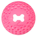 Rogz Gumz Ball