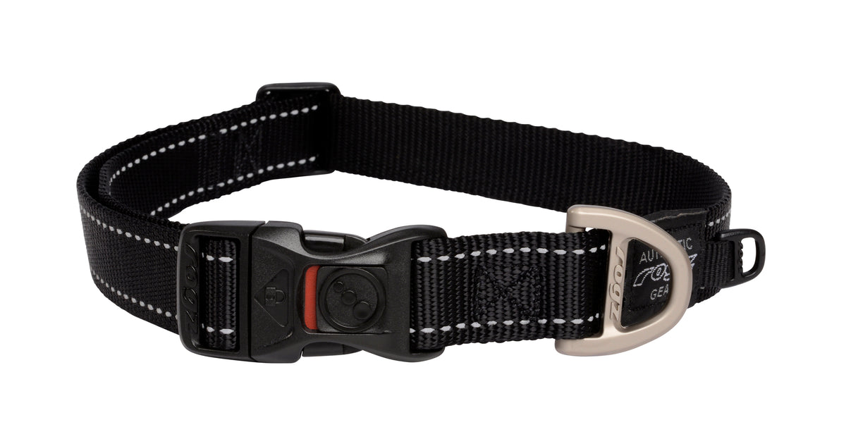 Classic Dog Collar
