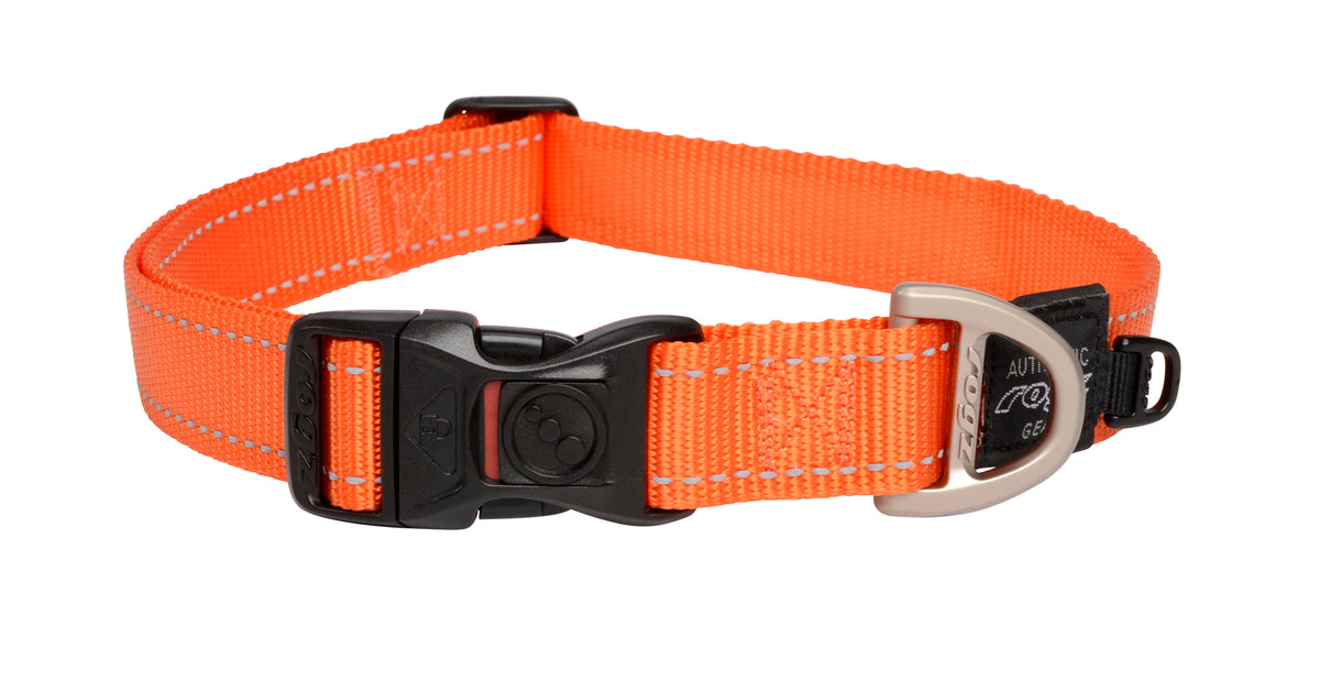 Classic Dog Collar