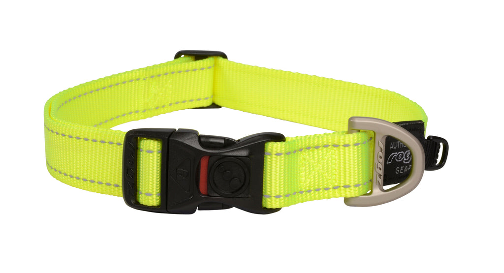 Classic Dog Collar