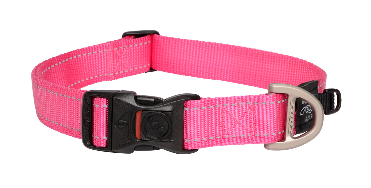 Classic Dog Collar