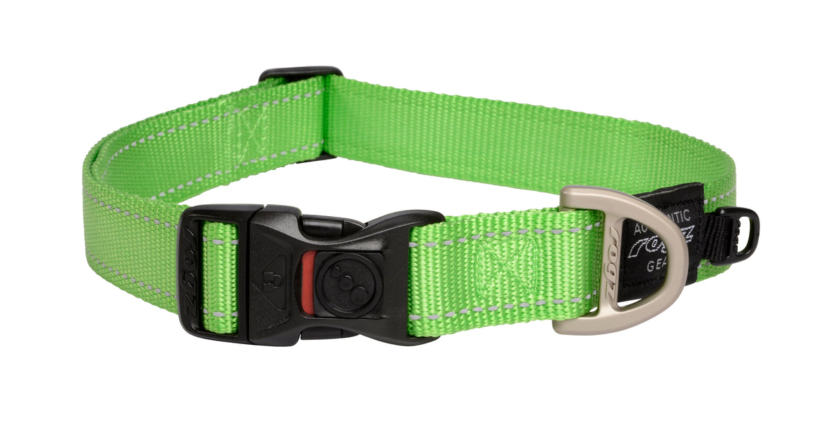 Classic Dog Collar
