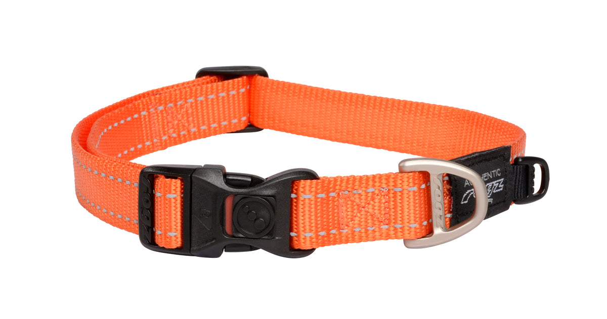 Classic Dog Collar