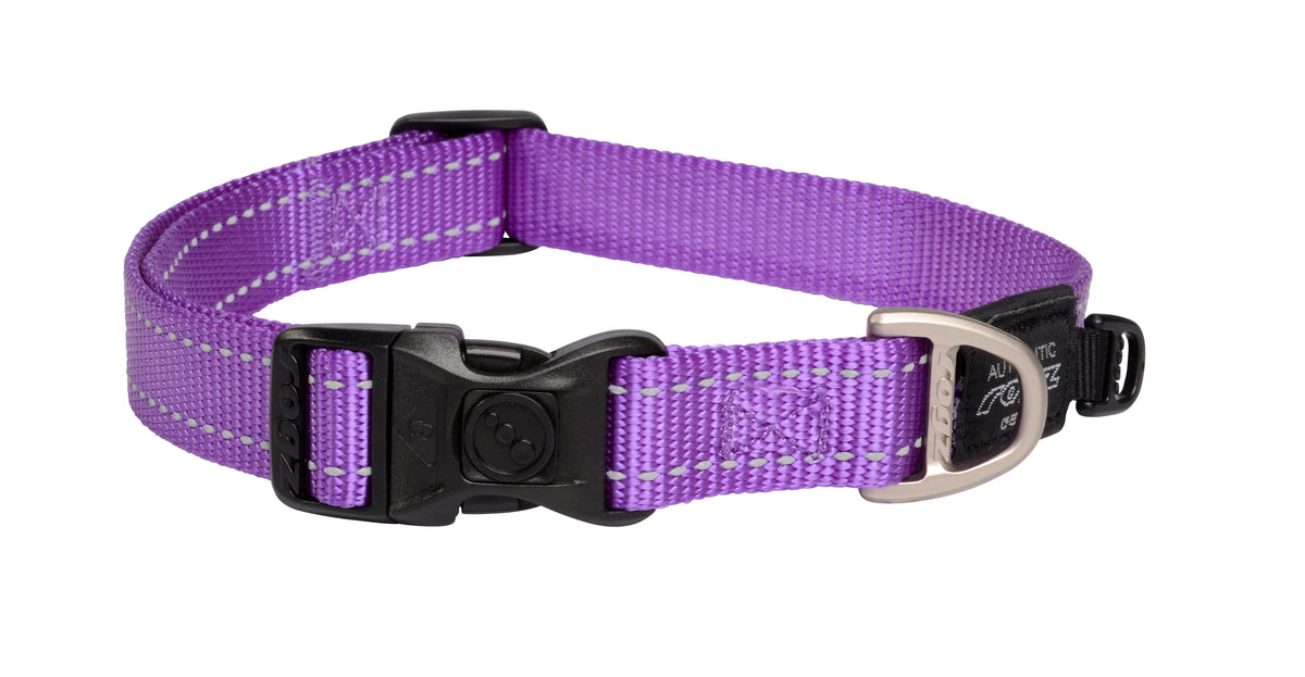 Classic Dog Collar