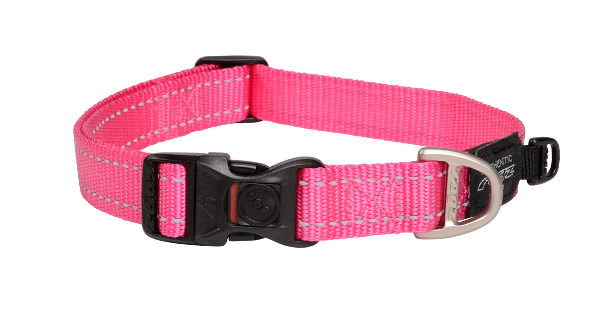 Classic Dog Collar