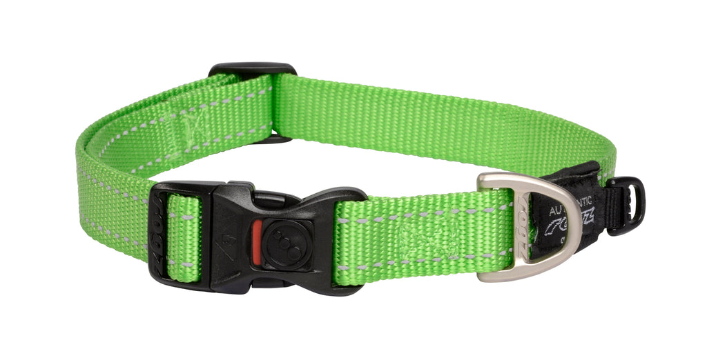Classic Dog Collar