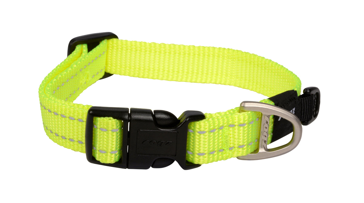 Classic Dog Collar