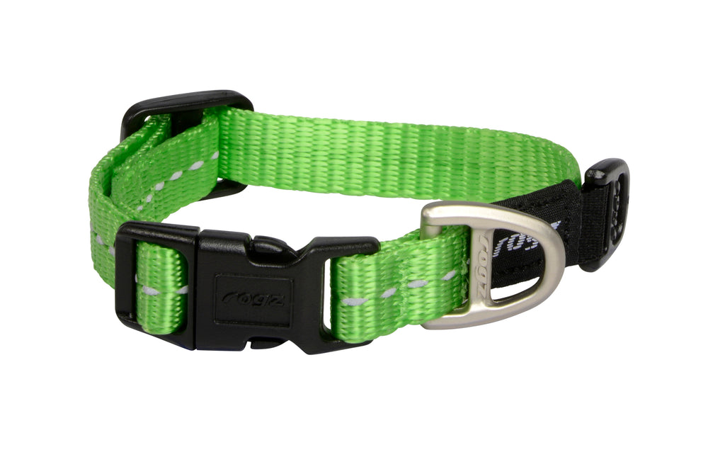 Classic Dog Collar