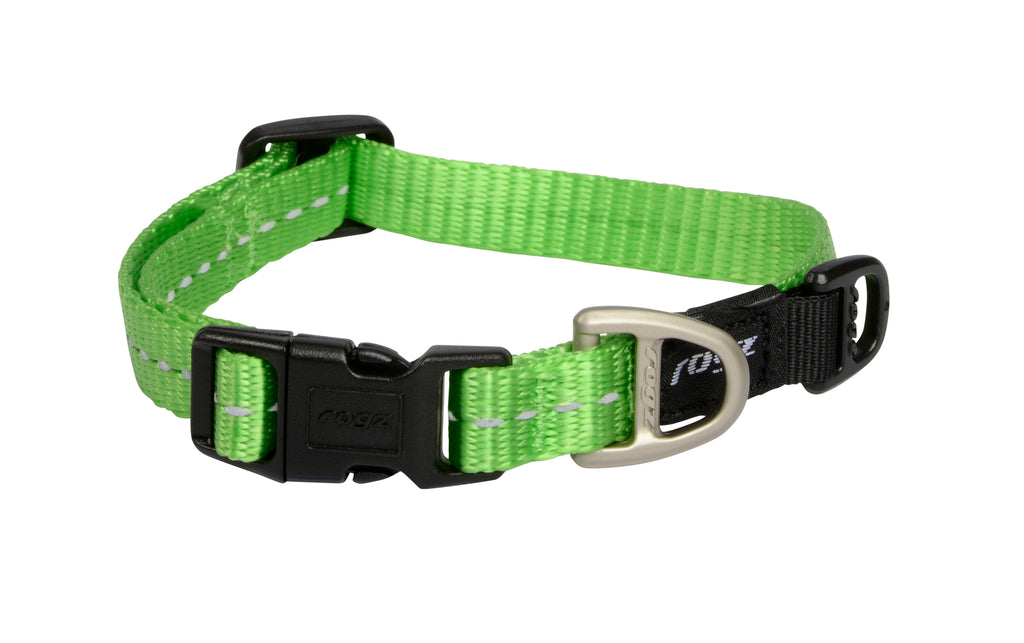 Classic Dog Collar