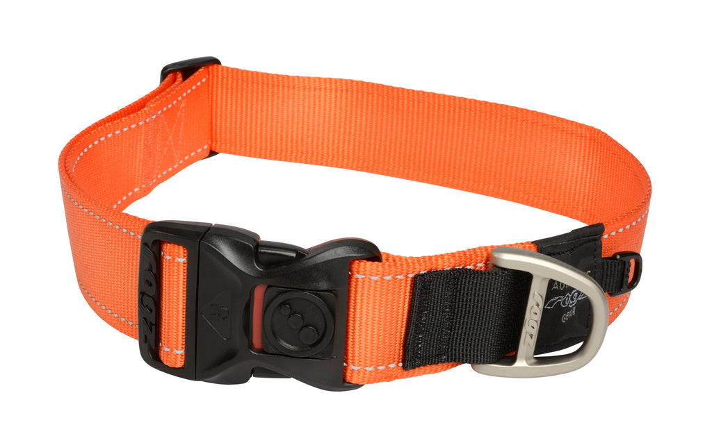 Classic Dog Collar