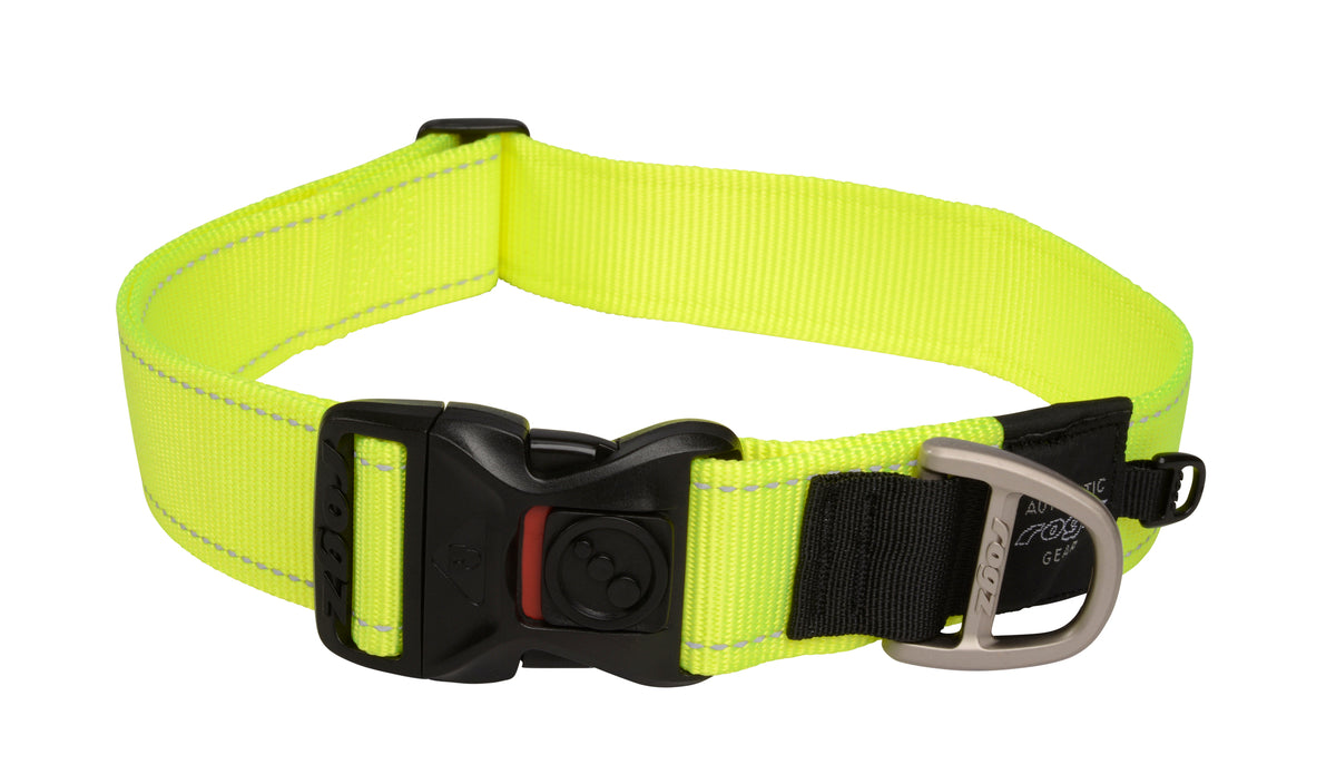 Classic Dog Collar