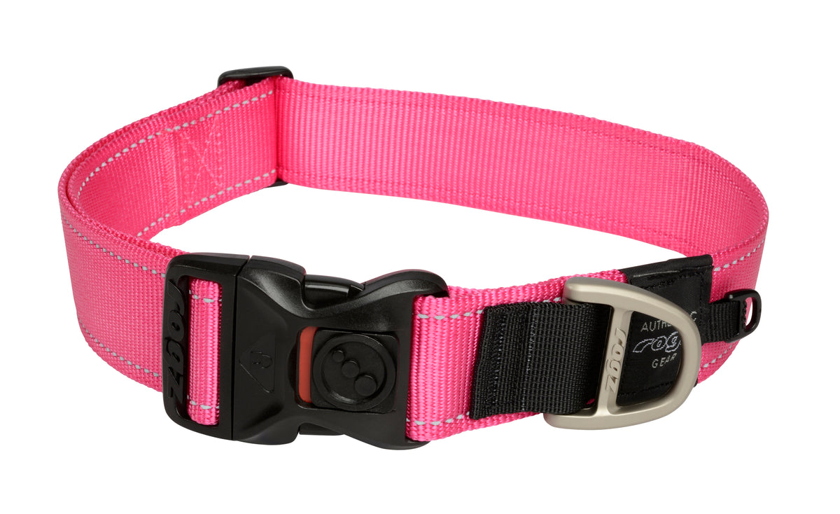 Classic Dog Collar