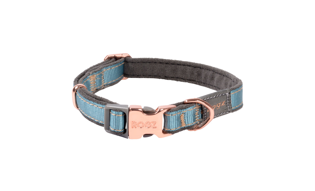 Rogz Urban Dog Collar