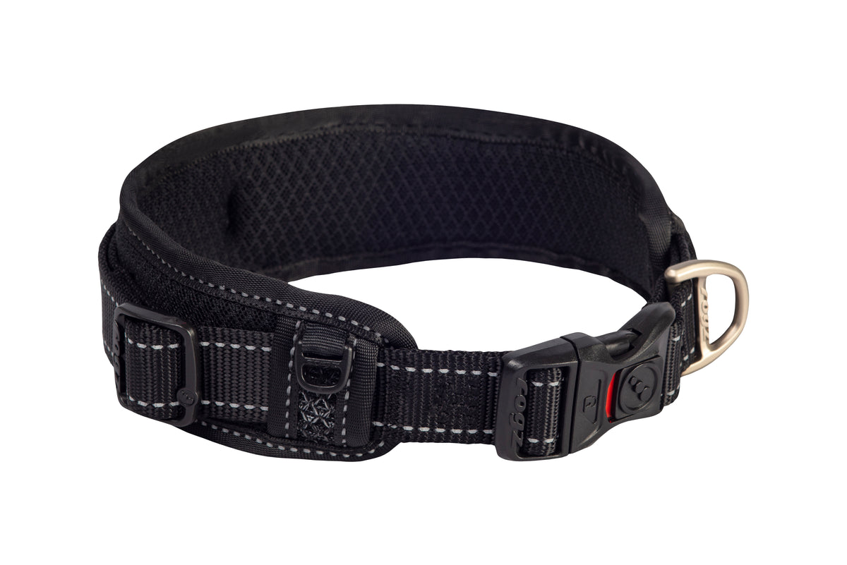 Classic Padded Dog Collar