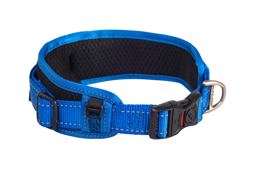 Classic Padded Dog Collar