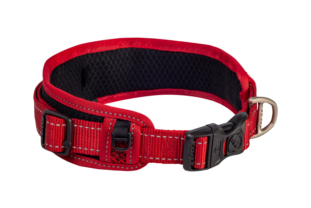 Classic Padded Dog Collar