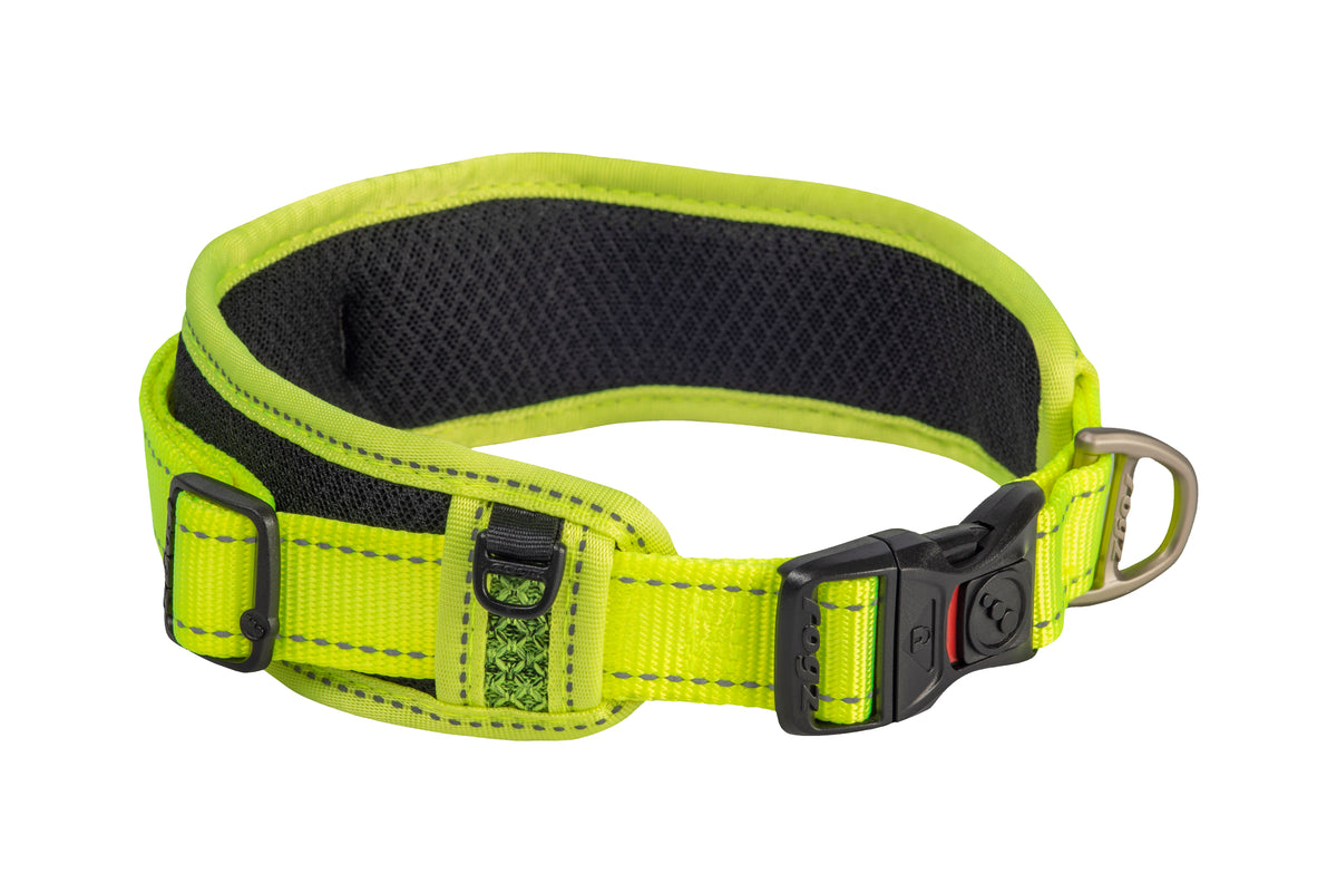 Classic Padded Dog Collar