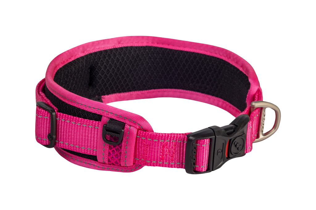 Classic Padded Dog Collar