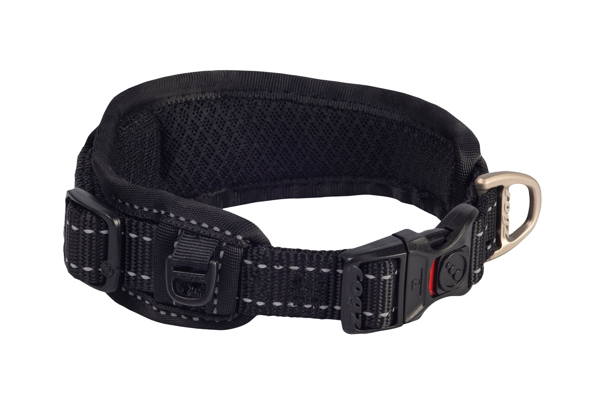 Classic Padded Dog Collar