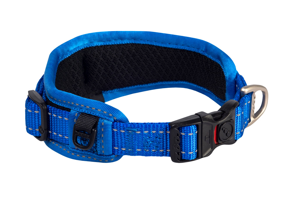 Classic Padded Dog Collar