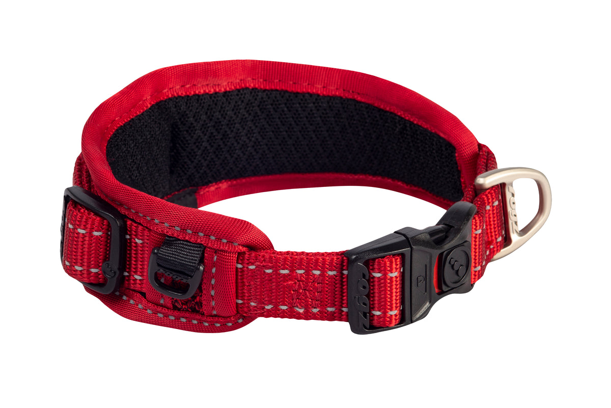 Classic Padded Dog Collar