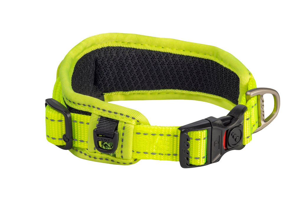 Classic Padded Dog Collar