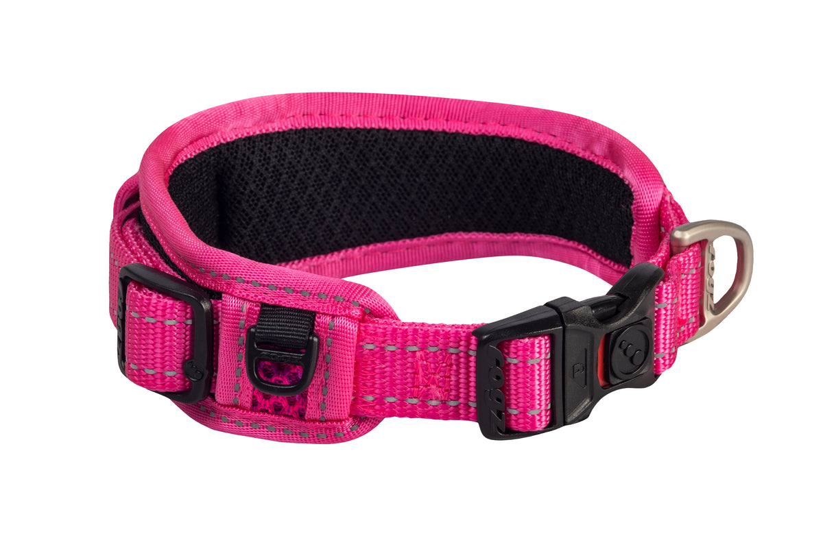 Classic Padded Dog Collar