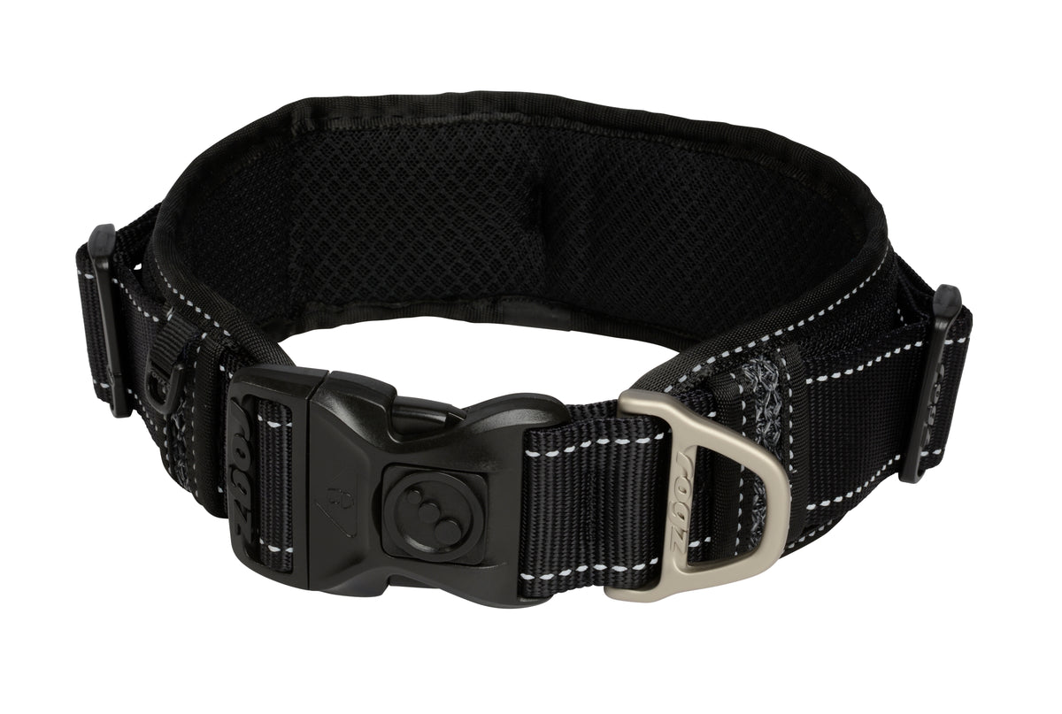 Classic Padded Dog Collar
