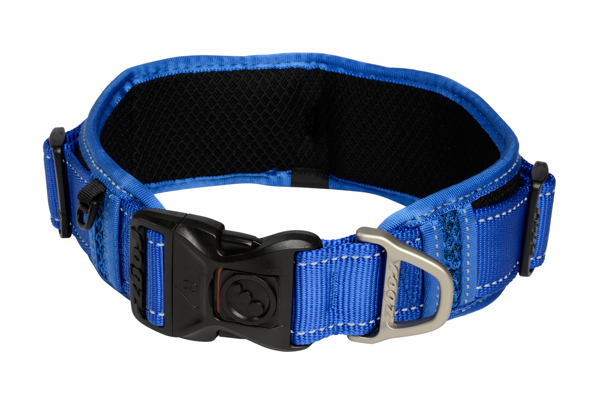 Classic Padded Dog Collar