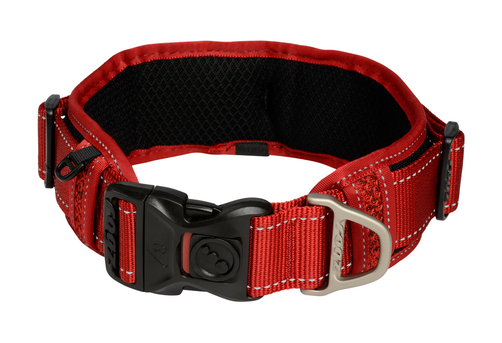 Classic Padded Dog Collar