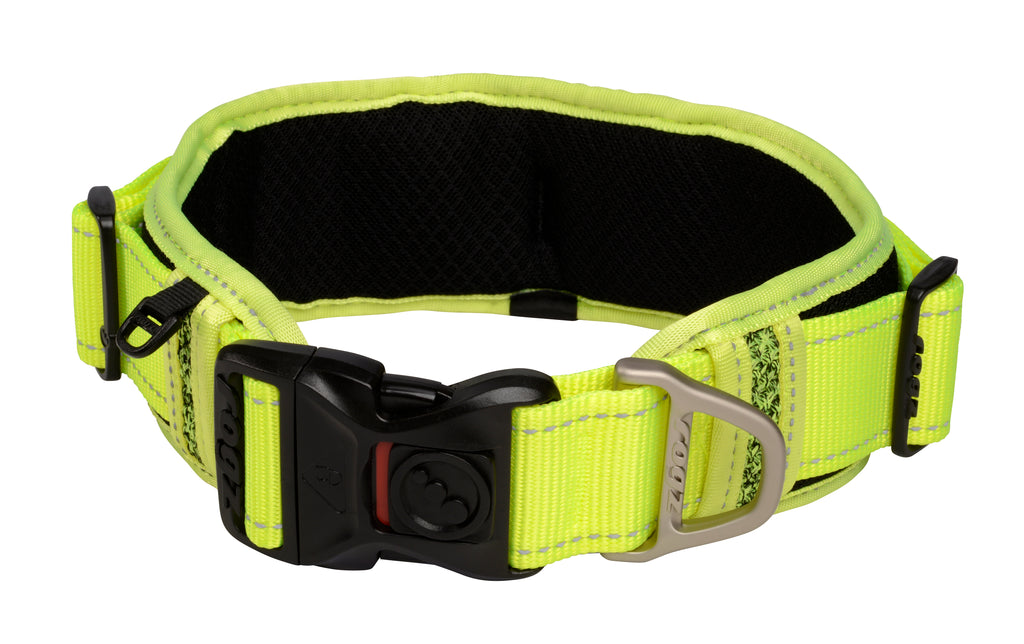 Classic Padded Dog Collar