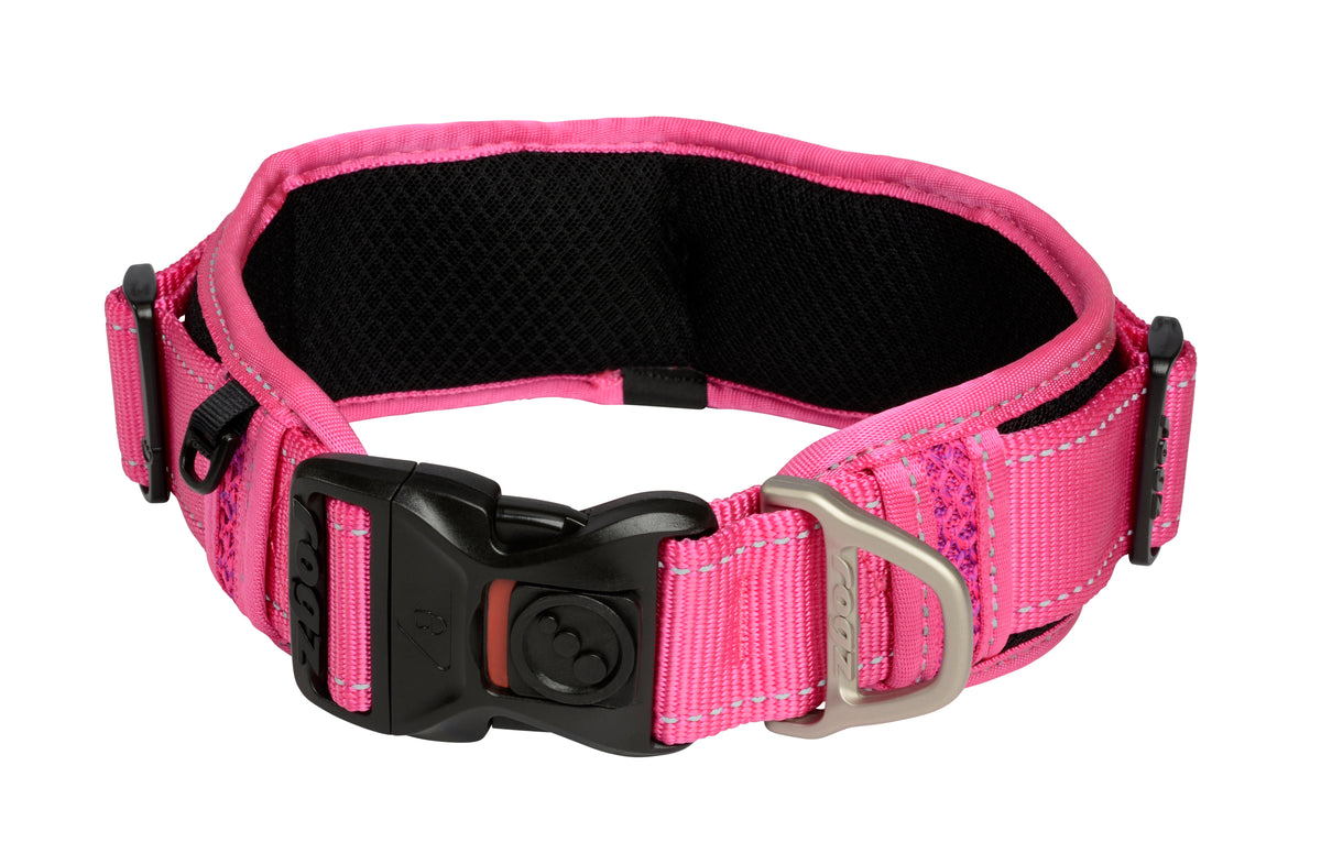 Classic Padded Dog Collar