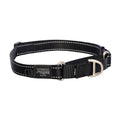 Rogz Control Martingale Web Collar