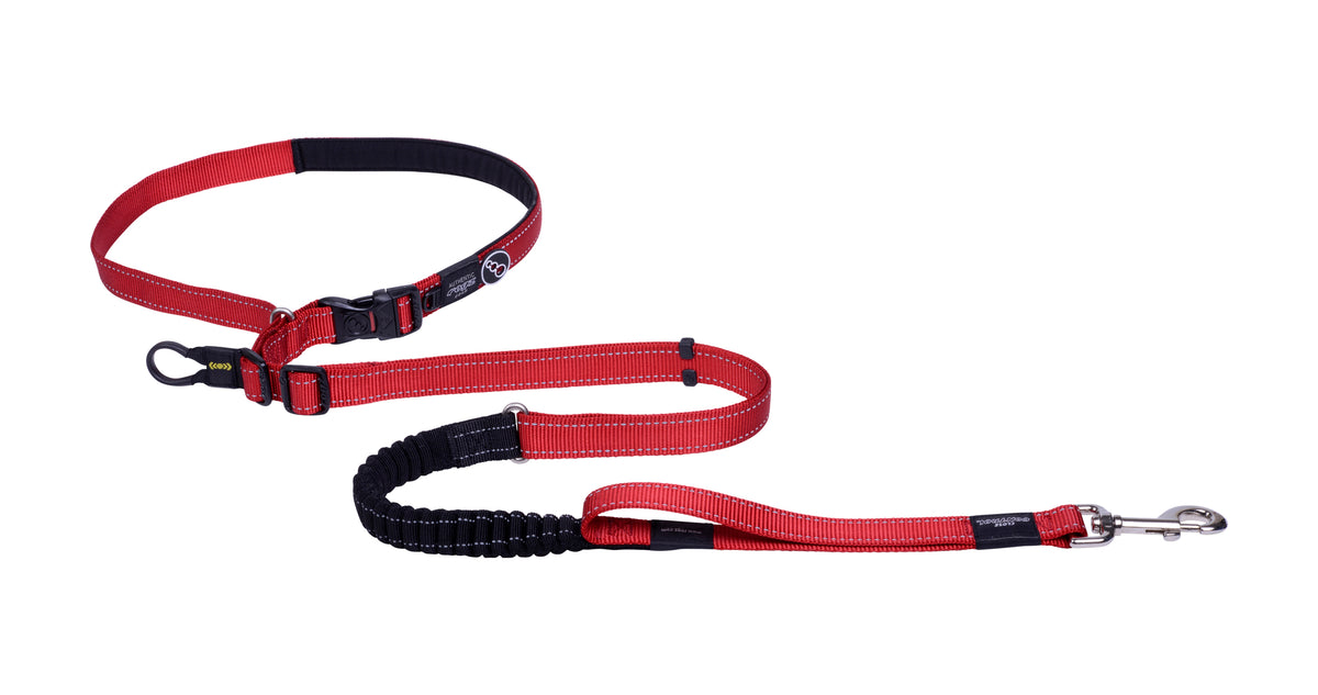 Rogz Utility Hands Free Dog Leash