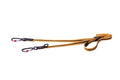 AirTech Dog Multi Lead