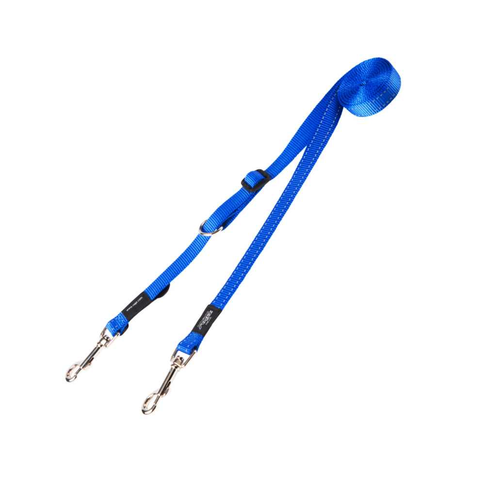 Control Multi-Leash