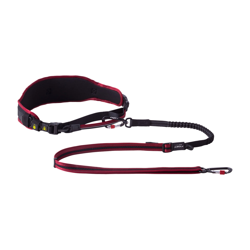 AirTech Dog Sport Belt and Leash Set