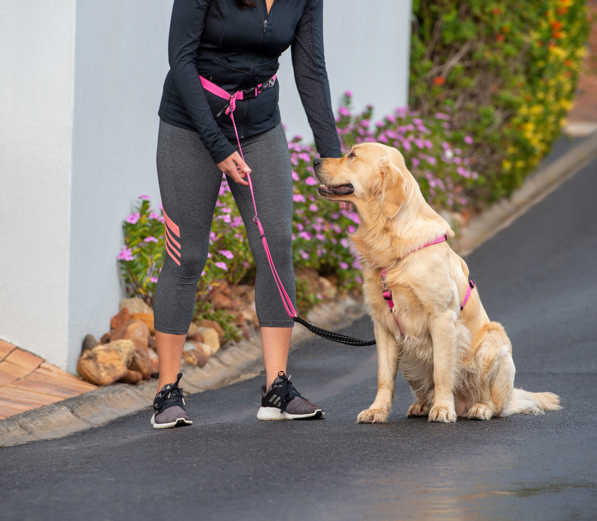 Rogz Utility Hands Free Dog Leash