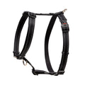 Classic Dog H-Harness X-Large- Black